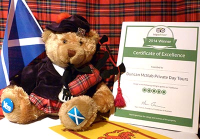 bear-trip-advisor-01.jpg